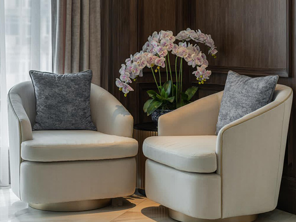 Interior Living Room